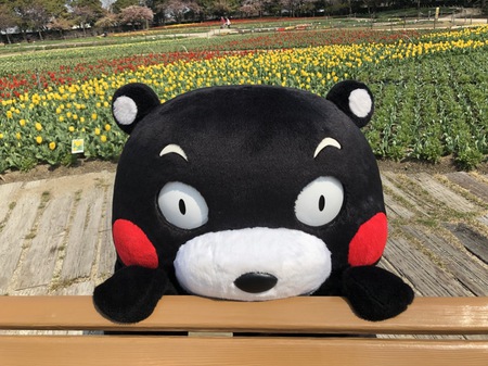 0324-0325なばなの里 005.JPG